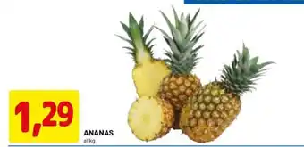 DPiù ANANAS offerta