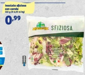 In'S Mercato Insalata sfiziosa con carote offerta