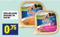 Risparmio Casa Miglior cane Vaschetta offerta