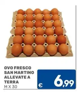 C+C Cash and Carry OVO FRESCO SAN MARTINO ALLEVATE A TERRA offerta