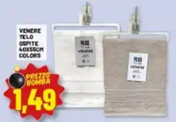 Risparmio Casa Telo ospite VENERE offerta