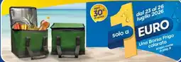 Ard Discount Una Borsa Frigo colorata offerta