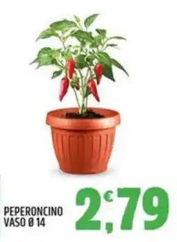 Ard Discount PEPERONCINO VASO Ø 14 offerta