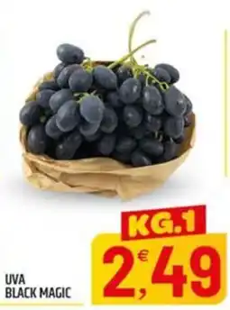 Ard Discount UVA BLACK MAGIC offerta