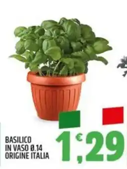 Ard Discount Basilico offerta