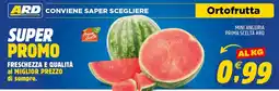 Ard Discount MINI ANGURIA PRIMA SCELTA ARD offerta