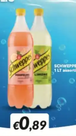Supermercati Visotto Schweppes 1 LT assortiti offerta