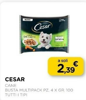Arcaplanet Cane busta multipack offerta