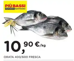 Poli ORATA FRESCA offerta