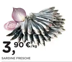 Poli SARDINE FRESCHE offerta