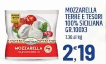 Ard Discount Mozzarella Terre e Tesori offerta