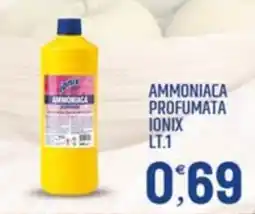 Ard Discount AMMONIACA PROFUMATA IONIX offerta