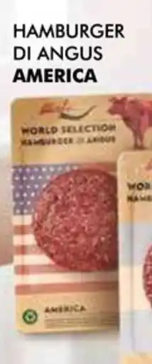 Extracoop Morfisi hamburger di angus america offerta