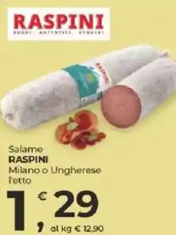Alter Discount Salame RASPINI offerta