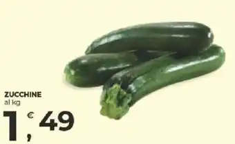Alter Discount Zucchine offerta