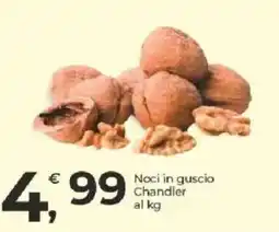 Alter Discount Noci in guscio Chandler offerta