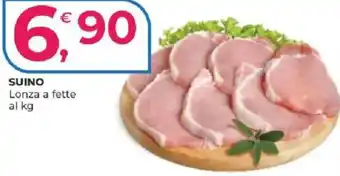 Alter Discount SUINO offerta