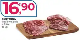 Alter Discount SCOTTONA offerta