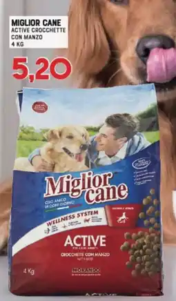 Gran Risparmio Miglior cane Active Crocchette con Manzo offerta