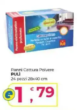 Alter Discount Panni Cattura Polvere PULÌ offerta