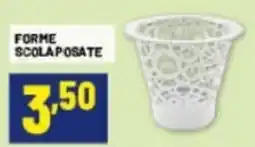 Risparmio Casa FORME SCOLAPOSATE offerta