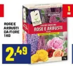 Risparmio Casa I colori del giardino Rose e arbusti offerta