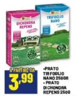Risparmio Casa Prato Trifoglio Nano offerta