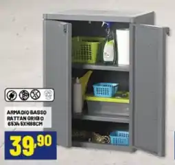 Risparmio Casa ARMADIO BASSO RATTAN GRIGIO offerta