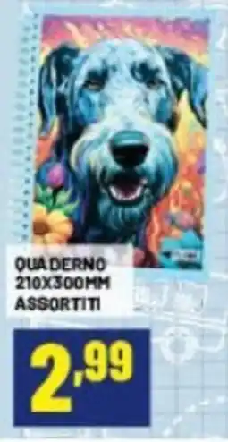 Risparmio Casa QUADERNO ASSORTITI offerta
