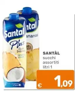 C+C Cash and Carry SANTÀL succhi assortiti offerta
