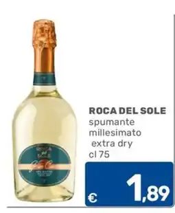 C+C Cash and Carry ROCA DEL SOLE spumante millesimato extra dry offerta
