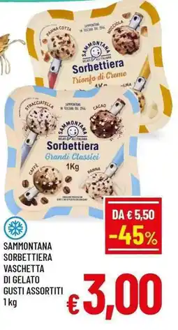 A&O Sammontana Sorbettiera Vaschetta di Gelato Gusti Assortiti offerta