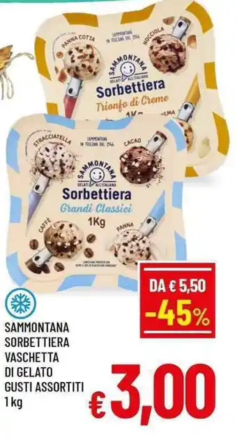 A&O Sammontana Sorbettiera Vaschetta di Gelato Gusti Assortiti offerta