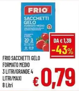 A&O Frio Sacchetti Gelo offerta