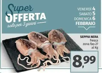 Pam Seppia nera offerta