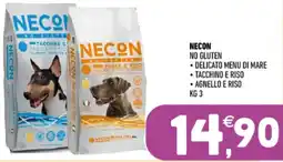 Ayoka Necon no gluten offerta