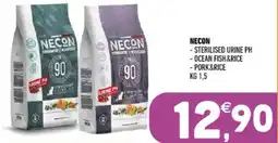Ayoka Necon offerta