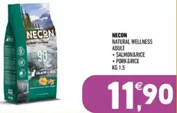 Ayoka Necon natural wellness adult offerta