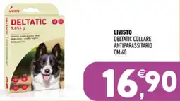 Ayoka Livisto deltatic collare antiparassitario offerta