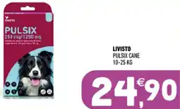 Ayoka Livisto pulsix cane offerta