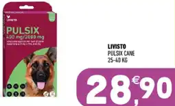 Ayoka Livisto pulsix cane offerta