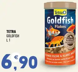 Ayoka Tetra goldfish offerta