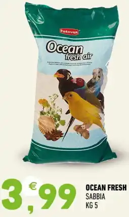 Ayoka Ocean fresh sabbia offerta