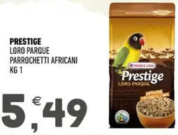 Ayoka Prestige loro parque parrochetti africani offerta