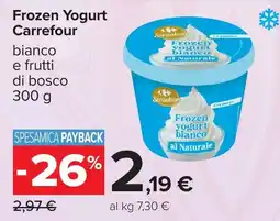 Carrefour Frozen Yogurt Carrefour bianco e frutti di bosco offerta