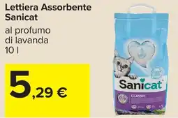 Carrefour Lettiera Assorbente Sanicat offerta