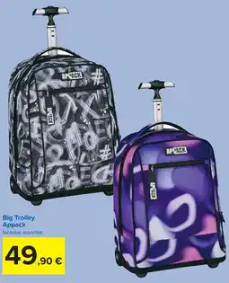 Carrefour Big Trolley Appack offerta