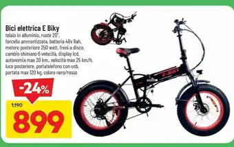 Bici elettrica e biky