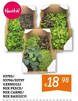 Zona GERMOGLI offerta