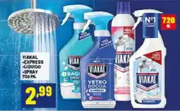 Risparmio Casa VIAKAL VETRO DOCCIA EXPRESS offerta